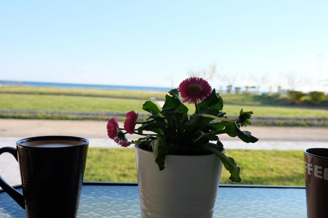 Apartment Onar By The Sea Luxurious Flogita
